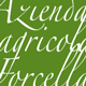 Azienda Agricola Forcella Logo